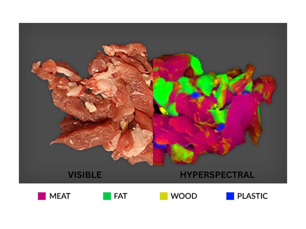 Side by side image of meat pieces taken with visible and hyperspectral technology showing detection of meat, fat, wood and plastic in the sample that is invisible to RGB imaging