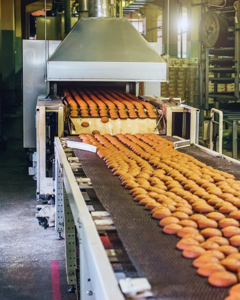 Baked cookies moving down a processing line in a commercial bakery